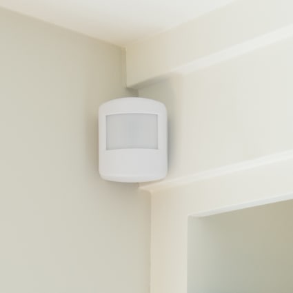 Eugene motion sensor