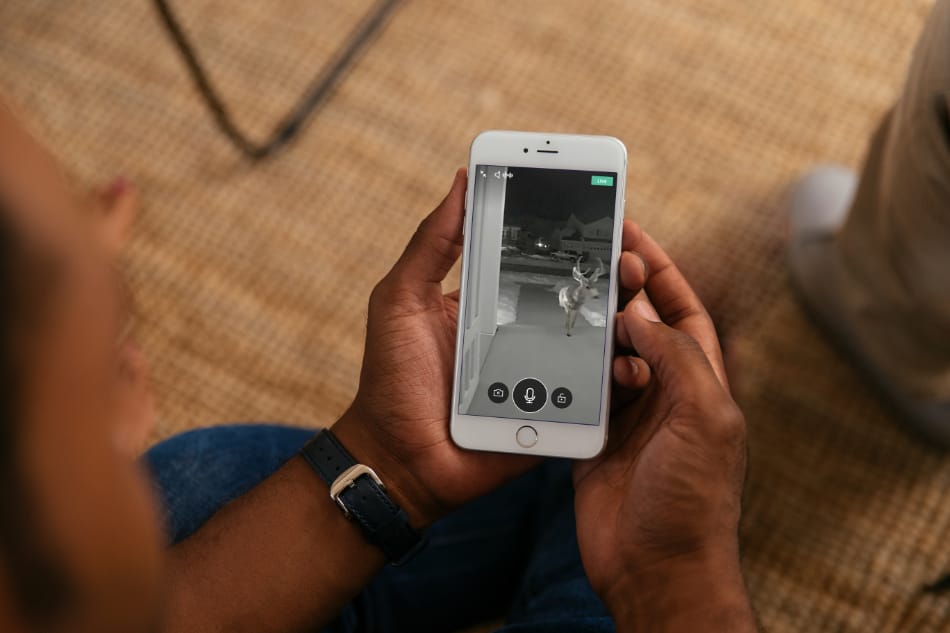 Roseburg OR security system